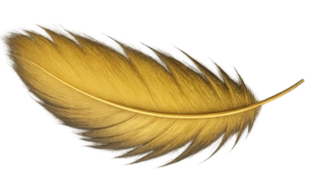 easy use of the calculator